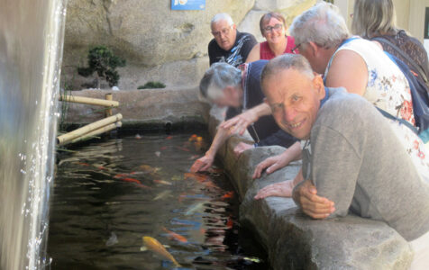 Sortie à l'aquarium